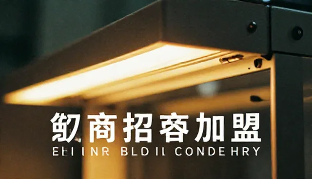 定制网站性能差异如何影响招商加盟推广效果